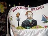 boi novilho branco