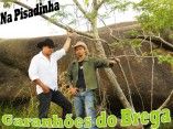 garanhões do brega