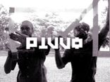 PiVVO
