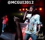 MC GUI 2012