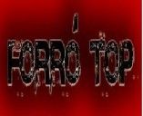 Grupo Forró Top