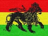 Novo Quilombo