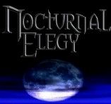 Nocturnal Elegy