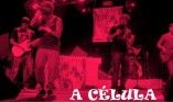 A Célula!