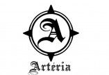 Artéria