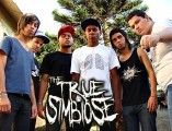 The True Simbiose