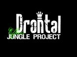 Drontal