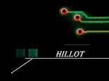 Hillot
