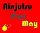 Ninjustu pai may