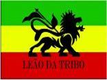 Leão da Tribo