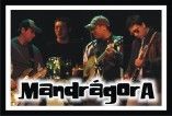 MANDRÁGORA ROCK