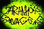 Garanhões Selvagens