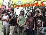 CANAROOTS MÚSICA REGGAE