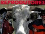 Reprodutores