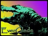 Everglade