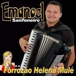 forrozão HELENA MULÉ