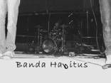 BANDA HABITUS