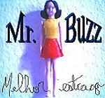 Mr.Buzz