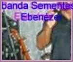 sementes ebenezer
