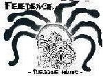 Feedback Reggae Music