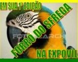 W . N . S  PRODU��ES & EVENTOS