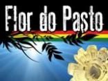 Flor do Pasto