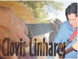 Clovis Linhares
