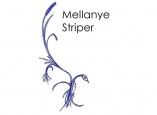Mellanye Striper