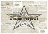 Casimir Effect
