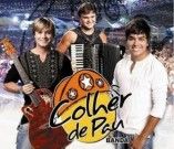 Colher de Pau