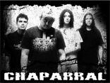 Chaparral