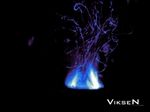 VikseN _