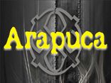 Arapuca
