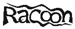 Racoon