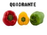 Quadrante