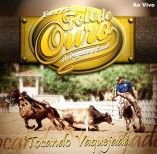 FORRO FOLE DE OURO 