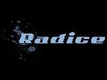 BANDA RADICE