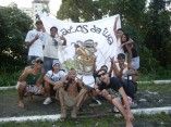 Ratos da Ilha