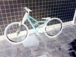 ousados equipe baki