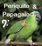 Periquito e Papagaio