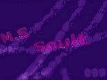 M.S Soult
