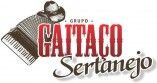 Grupo Gaitaço Sertanejo
