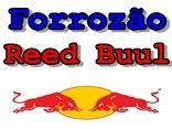 Forrozão Reed Buul