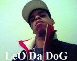Leo Da Dog