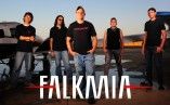 Falkmia