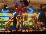 grupo zingaro