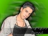 Gryngoo Brasil