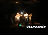 Viscerais