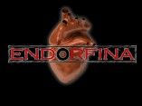Endorfina