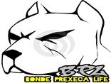 Bonde Prexeca Life